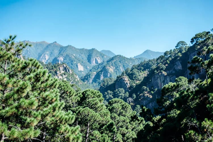 Paisagem de montanhas com pinheiros e céu azul em Gramado, Brasil