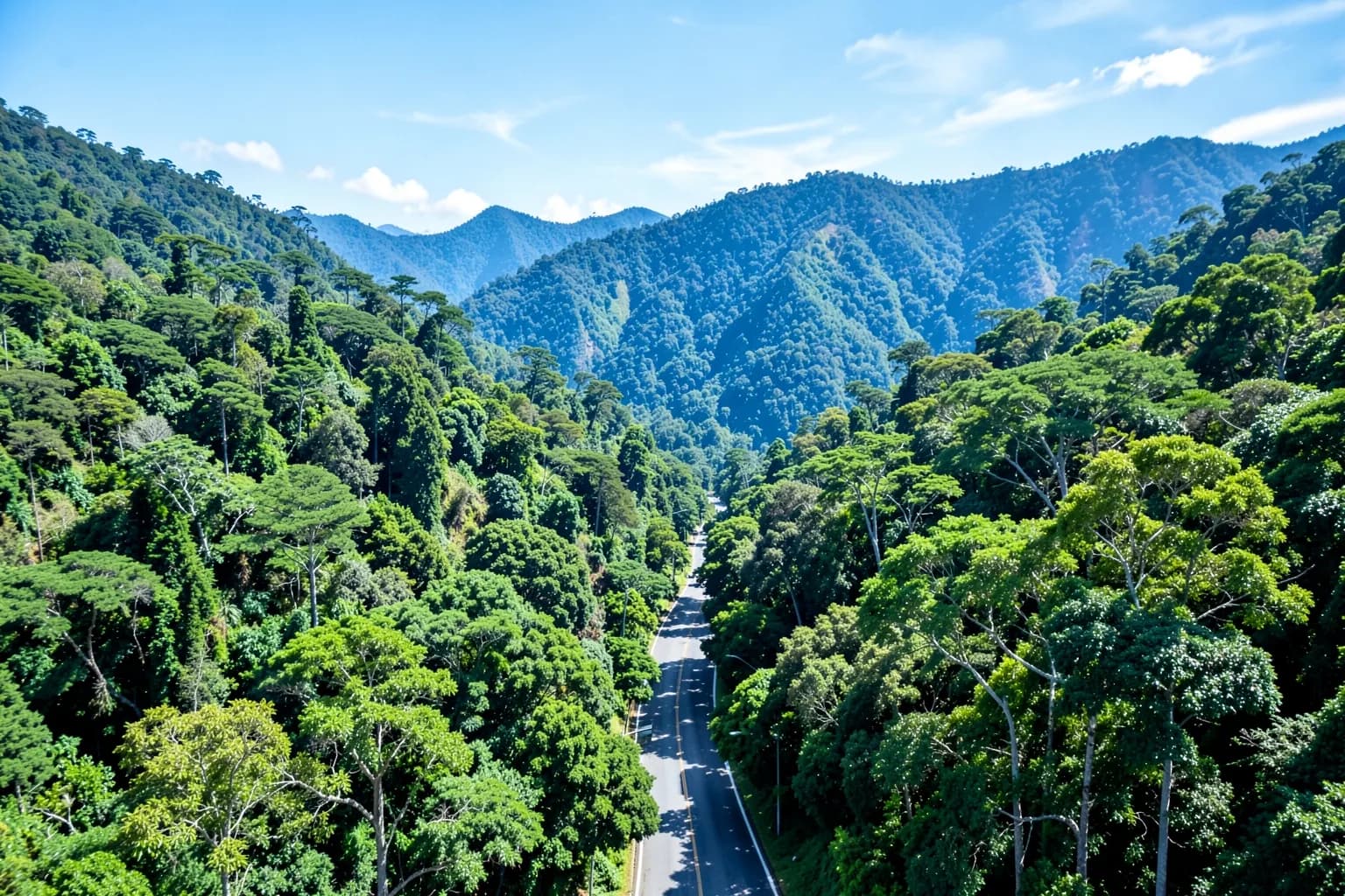 Vista aérea de um carro em uma estrada sinuosa cercada por florestas verdes e montanhas ao fundo em Gramado, Brasil